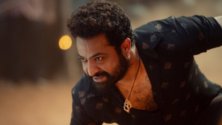 Gallery Stills