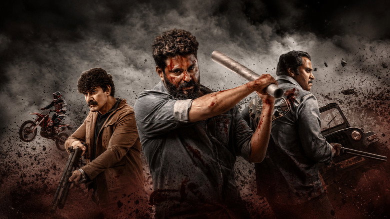 Gallery Stills