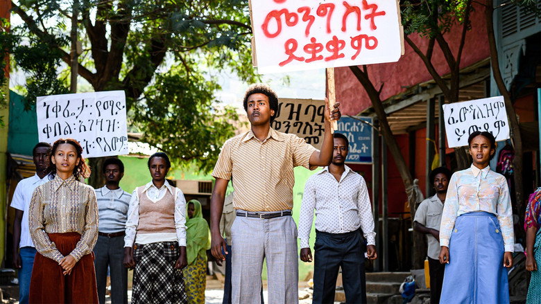 Gallery Stills