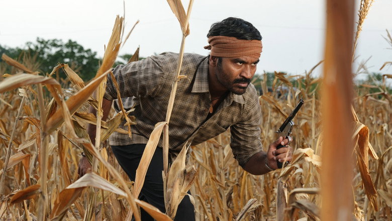 Gallery Stills