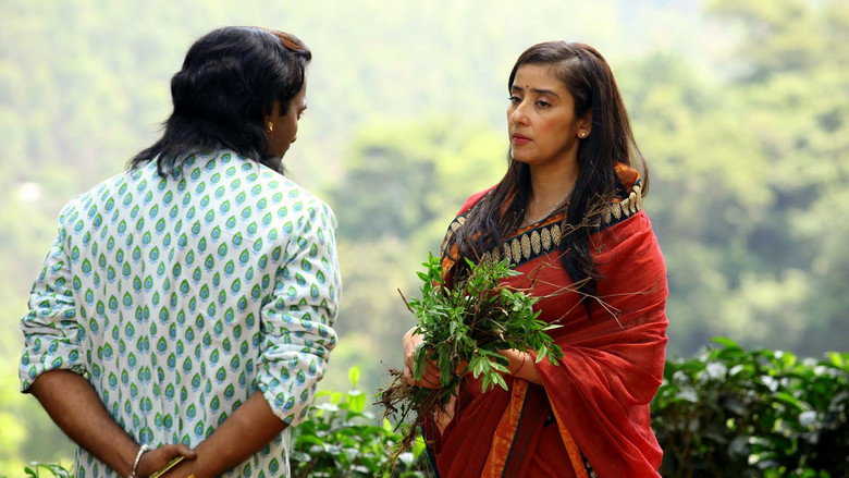 Gallery Stills