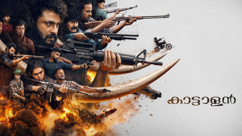 Gallery Stills
